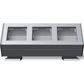 119326 GIRA 3fach m. Befestig.winkel Profil 55 Aluminium Produktbild front M