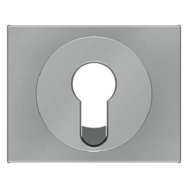 15057004 Berker BERKER K.5 Zentralstück für Schlüsselschalter Edelstahl lackiert Produktbild