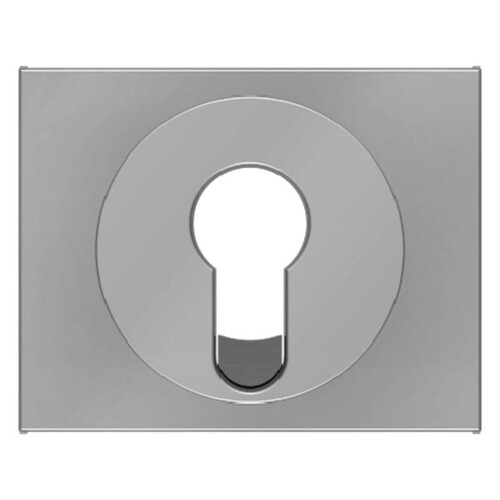 15057004 Berker BERKER K.5 Zentralstück für Schlüsselschalter Edelstahl lackiert Produktbild Front View L