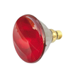29507 Scharnberger+Hasenbein Infrarot Wärmestrahler PAR38 150W E27 Produktbild front S