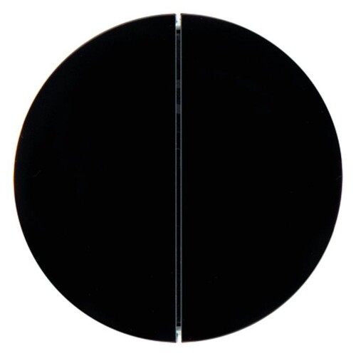 85142131 Berker R.x NEP Taste 2fach schwarz glänzend Produktbild Front View L