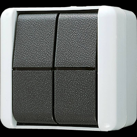 839W Jung Doppel-Taster 2 Wechsler Produktbild front M