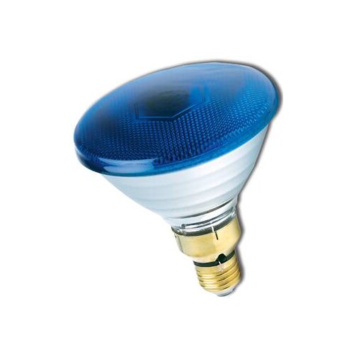 41634 Scharnberger+Hasenbein PAR38 80W blau Produktbild Front View L