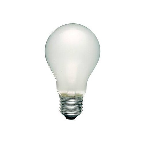 40710 Scharnberger+Hasenbein Glühlampe 24V 25W E27 Matt Produktbild