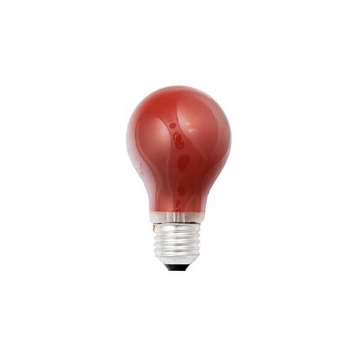 40245 Scharnberger Glühlampe 25W E27 rot Produktbild