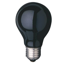 40882 Scharnberger & Hasenbein E27 75W 60x105mm Schwarzlicht Produktbild front M