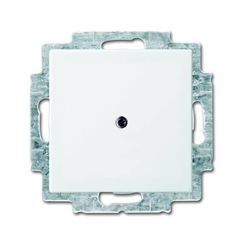 2538-914 Busch-Jaeger Zentralscheibe Blindabdeckung, Balance Produktbild Front View L