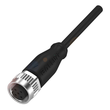 BCC085A Balluff Steckverbinder 3m Kabel BCC M415-0000-1A-001-PX0334-030 Produktbild