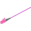 PIG 50 LC 2.0 OM4 Lightwin Lightwin Faserpigtail, Multimode 50/125µm, OM4, Produktbild
