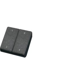 30000234 Eltako FMH4 sz Funk Minihandsender schwarz mit Doppelwippe Produktbild front M