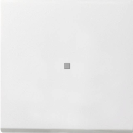 0122112 Gira Tastschalter Aus 2pol Kontroll Flächenschalter Reinweiß Produktbild front M