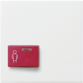 022927 Gira Abdeckung Ackermann 73022 A2 System 55 Reinweiß matt Produktbild front M