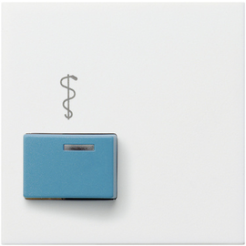 023127 Gira Abdeckung Ackermann 73022 A2 System 55 Reinweiß matt Produktbild front M