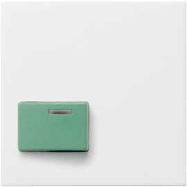 024603 Gira Abdeckung Ackermann 73642 C System 55 Reinweiß Produktbild front M