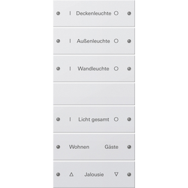 220627 Gira Wippenset 6fach, beschriftbar System 55 Reinweiß matt Produktbild front M