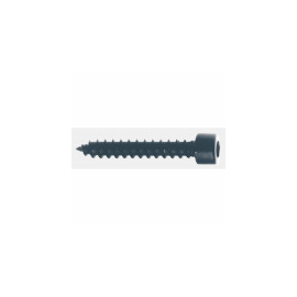 VS-5082 Visaton Schrauben (Zylinderkopf) 5 x 30 mm VE=24 PC Produktbild