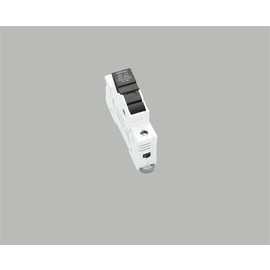 92000705 Wöhner 31295 Ambus Easyswitch 1polig 30A/600VAC Produktbild front M