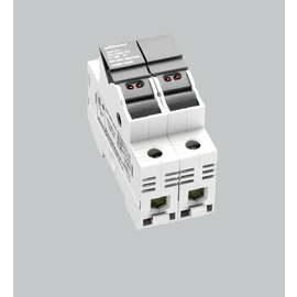 92000895 Wöhner 31299 Ambus Easyswitch 2polig 30A/600VAC Produktbild front M