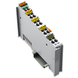 750-461/000-200 Wago 2 Kanal Analog Eingangsklemme Produktbild