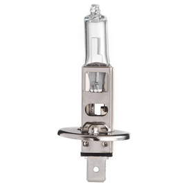 81112 Scharnberger+Hasenbein Autolampe Halogen mit 1 Leuchtkörper H1 P14,5s 24 Produktbild