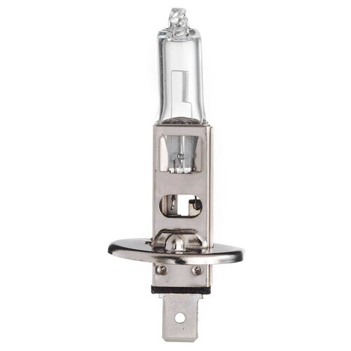 81112 Scharnberger+Hasenbein Autolampe Halogen mit 1 Leuchtkörper H1 P14,5s 24 Produktbild Front View L