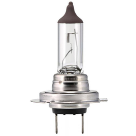 81146 Scharnberger+Hasenbein Autolampe Halogen mit 1 Leuchtmittel H7 PX26d 24V Produktbild