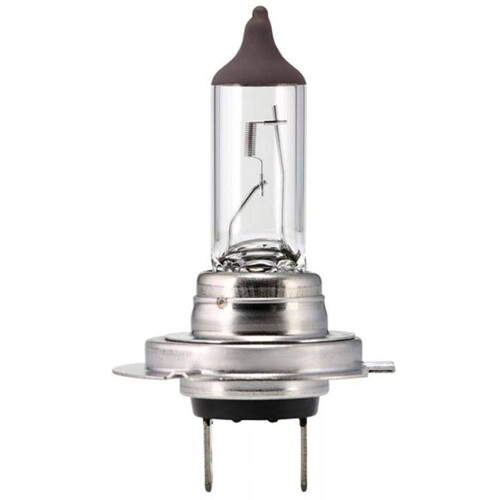 81146 Scharnberger+Hasenbein Autolampe Halogen mit 1 Leuchtmittel H7 PX26d 24V Produktbild Front View L