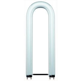 68804 Scharnberger+H. Leuchtstofflampe U Form T8 26x607mm 2G13 36W/840 coolwhite Produktbild