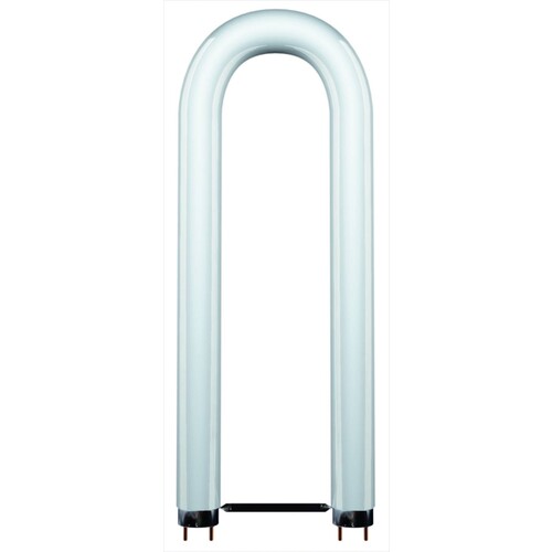 68804 Scharnberger+H. Leuchtstofflampe U Form T8 26x607mm 2G13 36W/840 coolwhite Produktbild