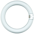 68815 Scharnberger+H. Leuchtstofflampe Ring Form T9 29x307mm G10q 32W/840 cool Produktbild