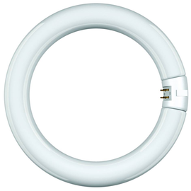 68815 Scharnberger+H. Leuchtstofflampe Ring Form T9 29x307mm G10q 32W/840 cool Produktbild