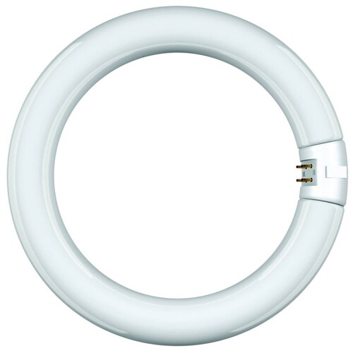68815 Scharnberger+H. Leuchtstofflampe Ring Form T9 29x307mm G10q 32W/840 cool Produktbild