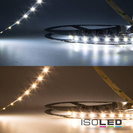 112590 Isoled LED SIL Flexband, 24V, 9,6W, IP20, weißdynamisch Produktbild