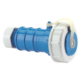 88709629 Bals SCHUKO WD BLAU 746 Kupplung Produktbild front M