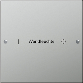 2131602 Gira Wippenset 1f beschr. System 55 Edelstahl Produktbild front M