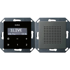 2280600 Gira UP-Radio RDS Lautsprecher System 55 Edelstahl Produktbild