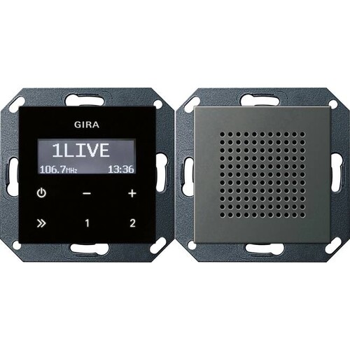 2280600 Gira UP-Radio RDS Lautsprecher System 55 Edelstahl Produktbild Front View L