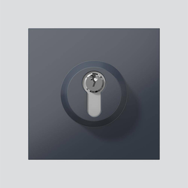 210004992-00 Siedle SM 611 01 AG Schloss Modul SM 611 01 AG anthrazitgrau Produktbild front M