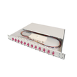 DN-96331-4 Digitus LWL Box LCD 12 OM4 Bestückt 12 x LCDx(24 Fasern) MULTIMODE Produktbild front S