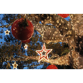 019-001 MK ECO Magic String Lite®QF+, 120 LED ww, 2,5m schwarzes Kabel, 220 Produktbild front M