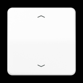 CD1700PWW Jung Steuertaste Standard -Pfeile Produktbild front M