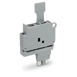 2004-911/1000-836 Wago Sicherungsstecker mit Lasche für G Sicherungseinsatz 5 x Produktbild