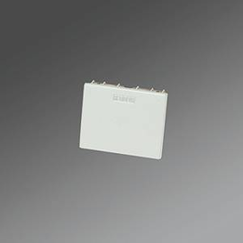 60581025100 Regiolux HLDSG 1 Stirnseite für HL.G vw (Paar) Produktbild