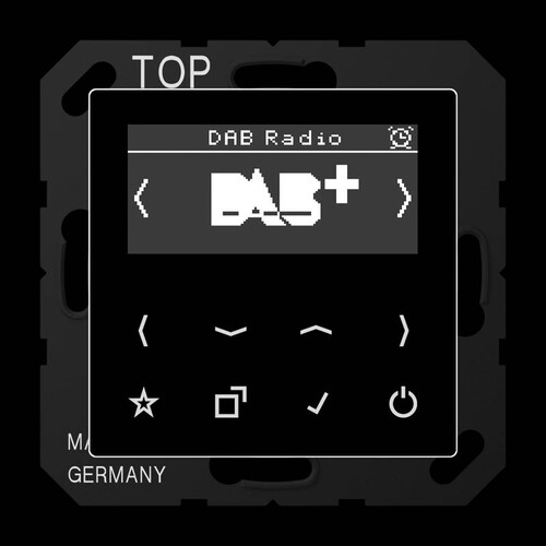 DABASW Jung Smart Radio DAB+ Produktbild Front View L