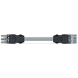 771-9293/016-803 Wago konfektionierte Verbindungsleitung B2ca Buchse Stecker, Produktbild