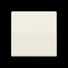 AS1700 Jung Steuertaste Standard Produktbild front M