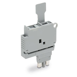 2004-911/1000-542 Wago Sicherungsstecker mit Lasche für G Sicherungseinsatz 5 x Produktbild