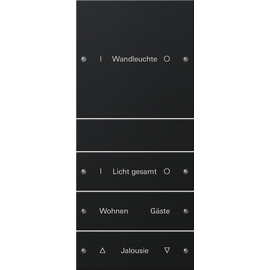 2204005 Gira Wippenset 4f (1+3) beschr. System 55 Schwarz m(lack.) Produktbild front M