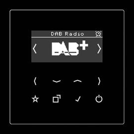 DABLSSW Jung Smart Radio DAB+ Produktbild