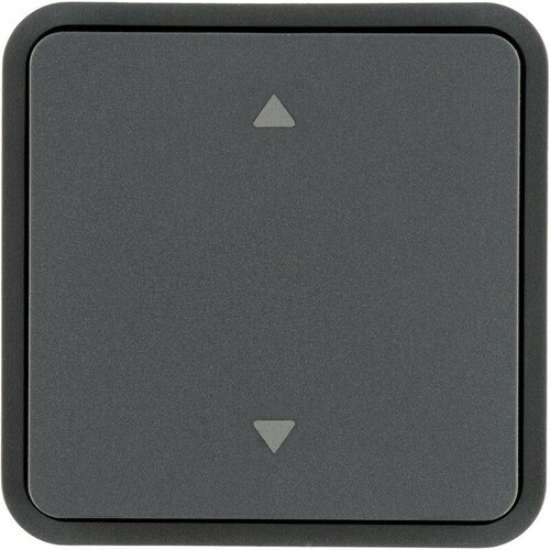 30653545 Berker BERKER KNX W.1 Wippe für Taster BA 1fach mit Pfeil Bedruckung gr Produktbild